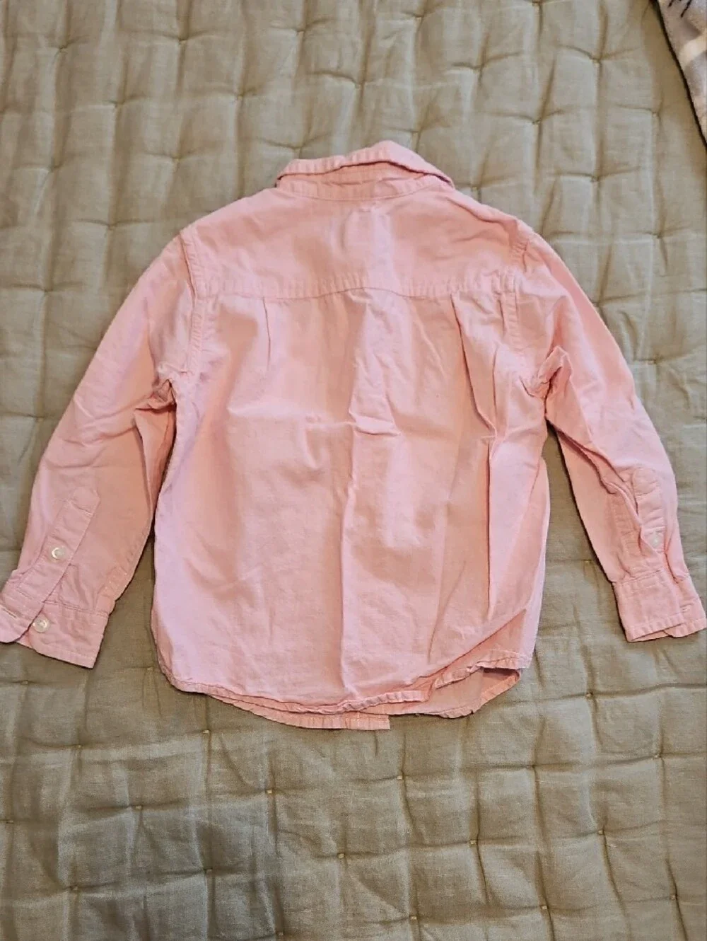 The Children's Place Soft Pink Button-Down Shirt